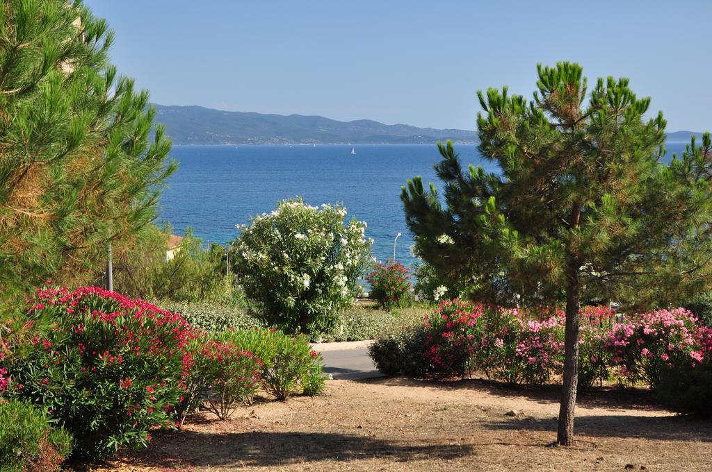 Apartamento F2 Le Lavezzi Ajaccio  Exterior foto